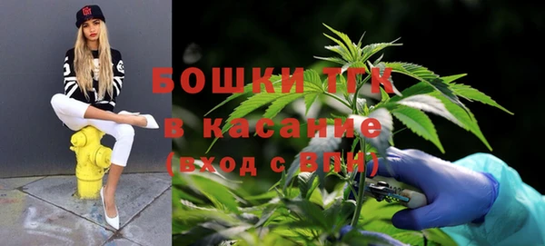 гидропоника Бронницы
