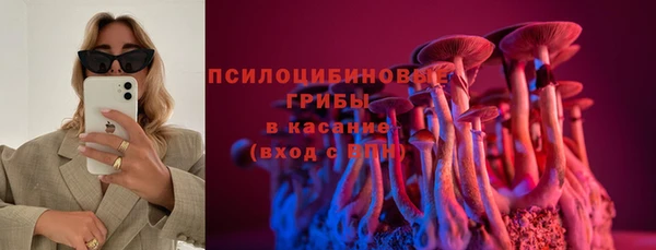 гидропоника Бронницы
