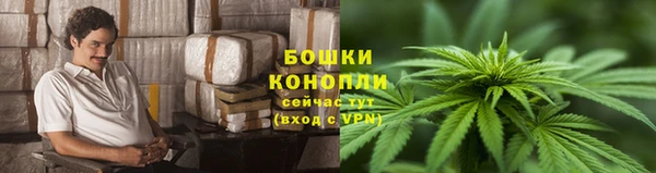 гидропоника Бронницы