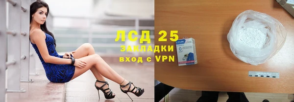 шишки Бородино