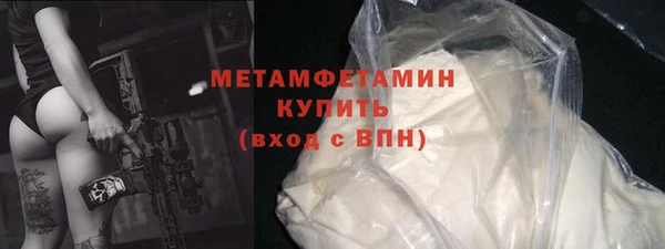 шишки Бородино