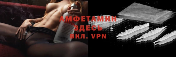 шишки Бородино