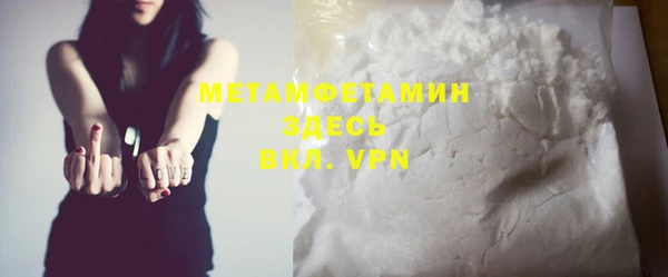 шишки Бородино