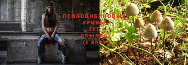 шишки Бородино