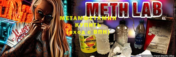 шишки Бородино