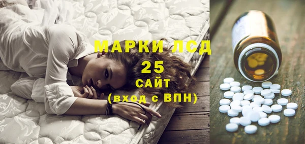 шишки Бородино